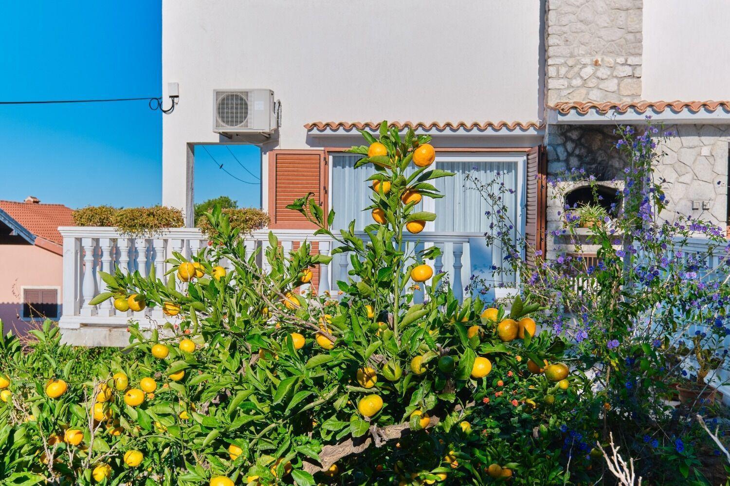 Apartment Luce Mali Losinj Exterior photo